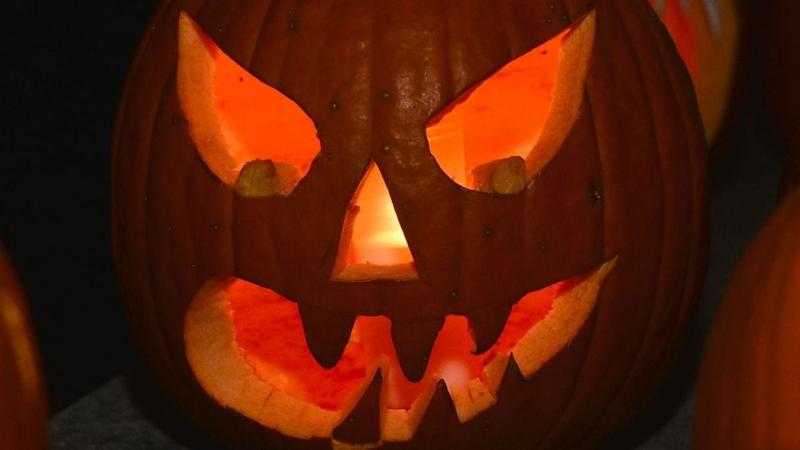 Készülj fel a Halloween varázslatos ünnepére! Fedezd fel a női kistermelők csodás termékeit, és találkozz Varga Ferivel és Varró Danival! Íme néhány izgalmas ötlet a hétvégére!