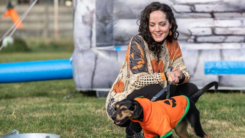 Ilyen élményben még sosem volt részünk! Képzelj el egy varázslatos világot, ahol lovak, kutyák és gazdáik különleges jelmezekbe bújnak. Színes, kreatív öltözetekben vonulnak fel, igazi mesebeli lényekként, akik együtt ünneplik a fantázia erejét. Ez a látv