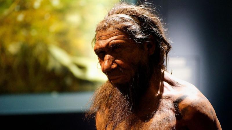 Mit fed fel az Altamura-ember különleges koponyája? Az ősi maradványok rejtélyes világába kalauzol minket, felfedve a Homo neanderthalensis titkait és életmódját. A koponya sajátos formája és a benne található anomáliák értékes információkat hordoznak az 