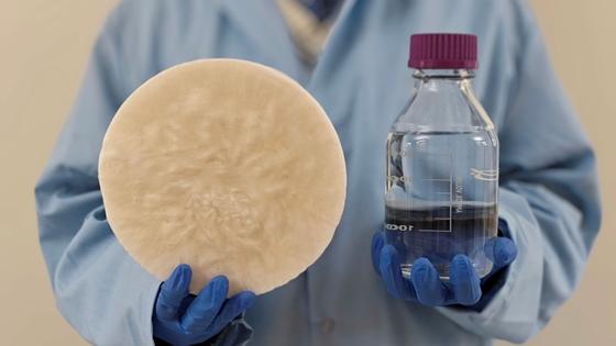 Naponta 14 liter friss ivóvizet nyerhetünk ki a levegőből egy innovatív eljárás segítségével, amely a kidobott ételmaradékokkal működik. Ez az új technológia lehetővé teszi, hogy a hulladékot újrahasznosítsuk, miközben értékes vízforrást teremtünk, hozzáj