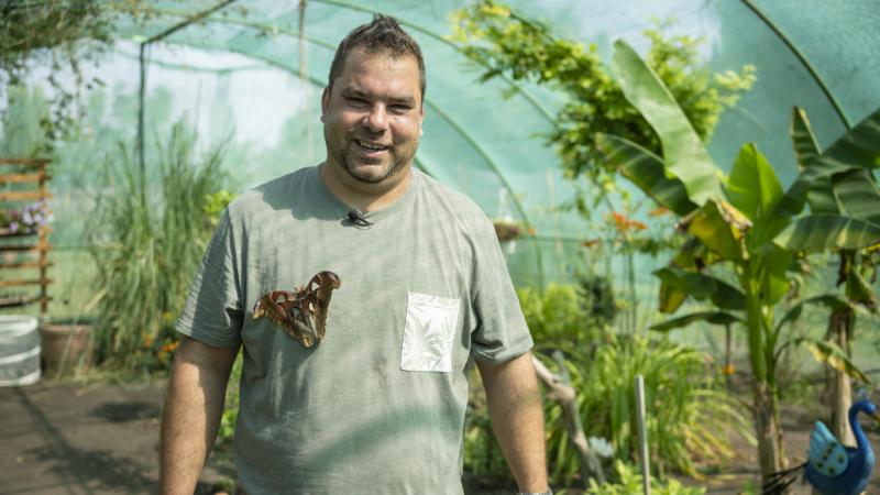 Tibor egy csepeli panelházban indította el a lepkék csodálatos világának felfedezését, és mára már Szigetszentmiklóson saját lepkekertet varázsolt magának.