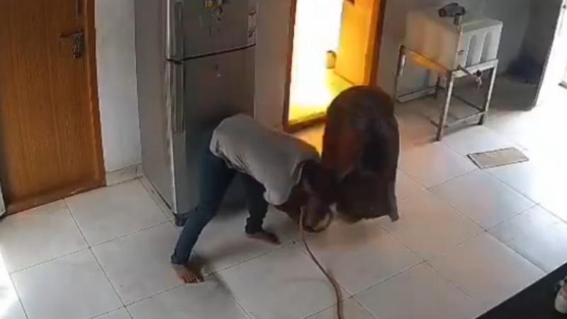 A sorsfordító pillanatok kérdése volt, hogy sikerült elkerülniük a gázrobbanást - nézd meg a felvételt! | 24.hu
