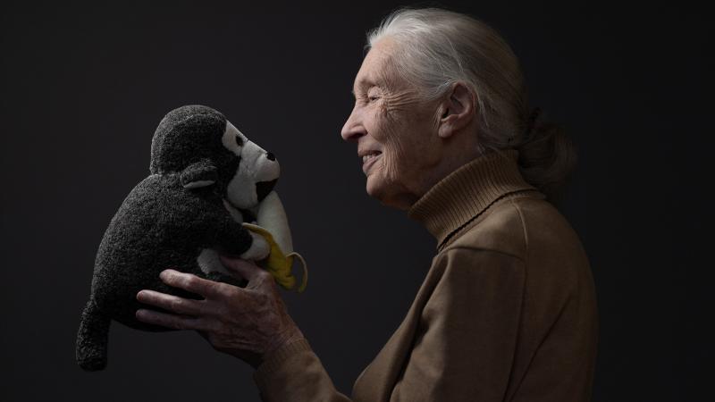 Jane Goodall, a híres etológus és primatológus, elsőként nevezte el a csimpánzokat, ami szenzációt keltett a tudományos közéletben. Munkássága nemcsak a csimpánzok viselkedésének megértését forradalmasította, hanem a természetvédelem iránti elkötelezettsé
