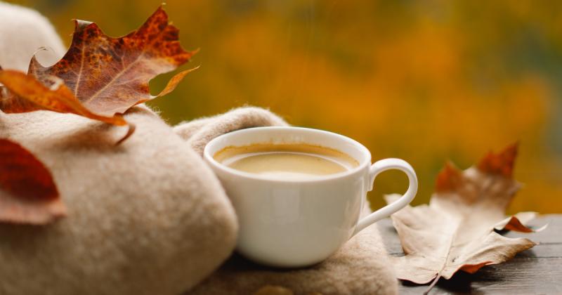 Október a megújulás hónapja, amikor a természet is átalakul, és te is lehetőséget kapasz arra, hogy új irányt adj az életednek. Az asztrológus tanácsai szerint most van itt az ideje, hogy összegyűjtsd bátorságodat, és lépéseket tegyél a személyes fejlődés