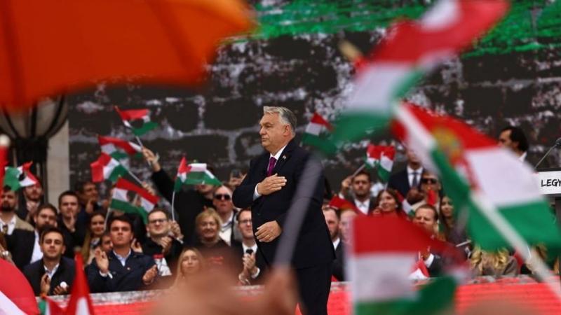 Apáti Bence határozottan megosztotta véleményét a fanatikus Magyar Péter követőivel kapcsolatban.