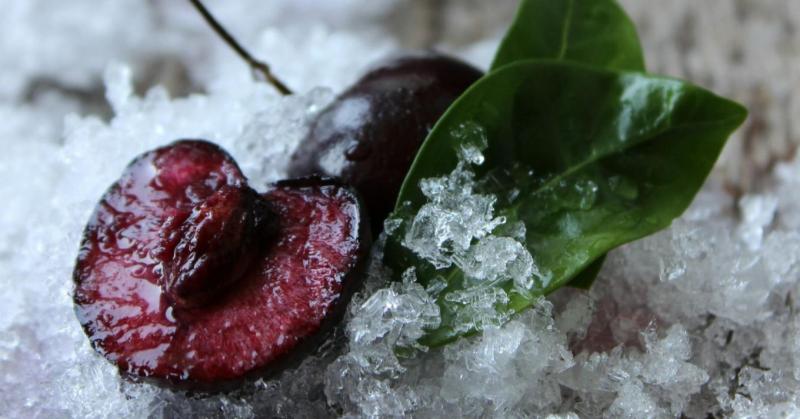 Új lehetőség a tavaszi fagykárok elleni védekezésre! November 20-tól kezdődően várjuk az igényléseket, hogy támogathassuk a gazdákat a fagy okozta károk megelőzésében. Ne hagyd ki ezt az alkalmat!