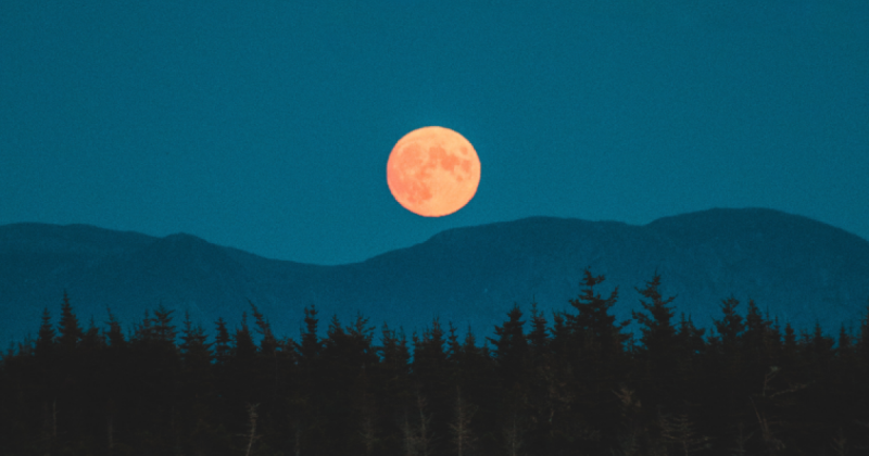 Napi horoszkóp, 2025. november 7.: Ma a Halak csillagjegy szülöttei különösen jól fognak boldogulni a megérzéseik segítségével. Az intuíciód ma különösen erős, érdemes hallgatnod rá, mert fontos döntésekben és kapcsolatokban is vezérfonalként szolgálhat. 