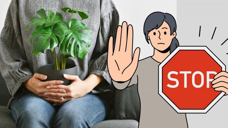 Természetesen, itt van egy egyedi megfogalmazás a 