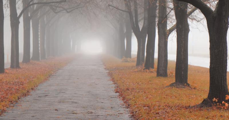 Rendkívüli időjárási körülmények miatt riasztást rendeltek el: 13 vármegyére vonatkozik.