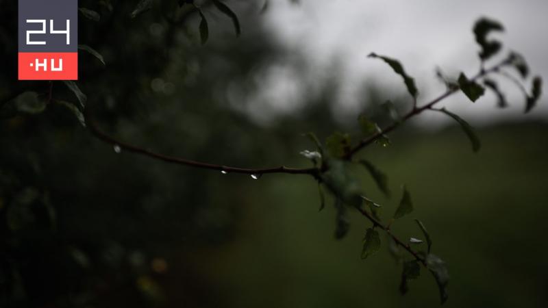A következő hét elején jelentős lehűlés várható, amit erős szél és csapadék kísér.